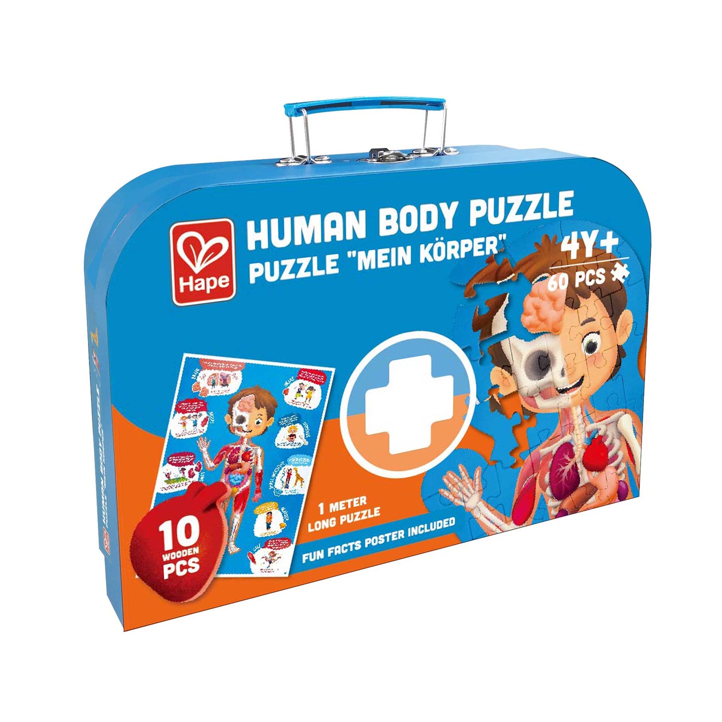 Human Body Puzzle